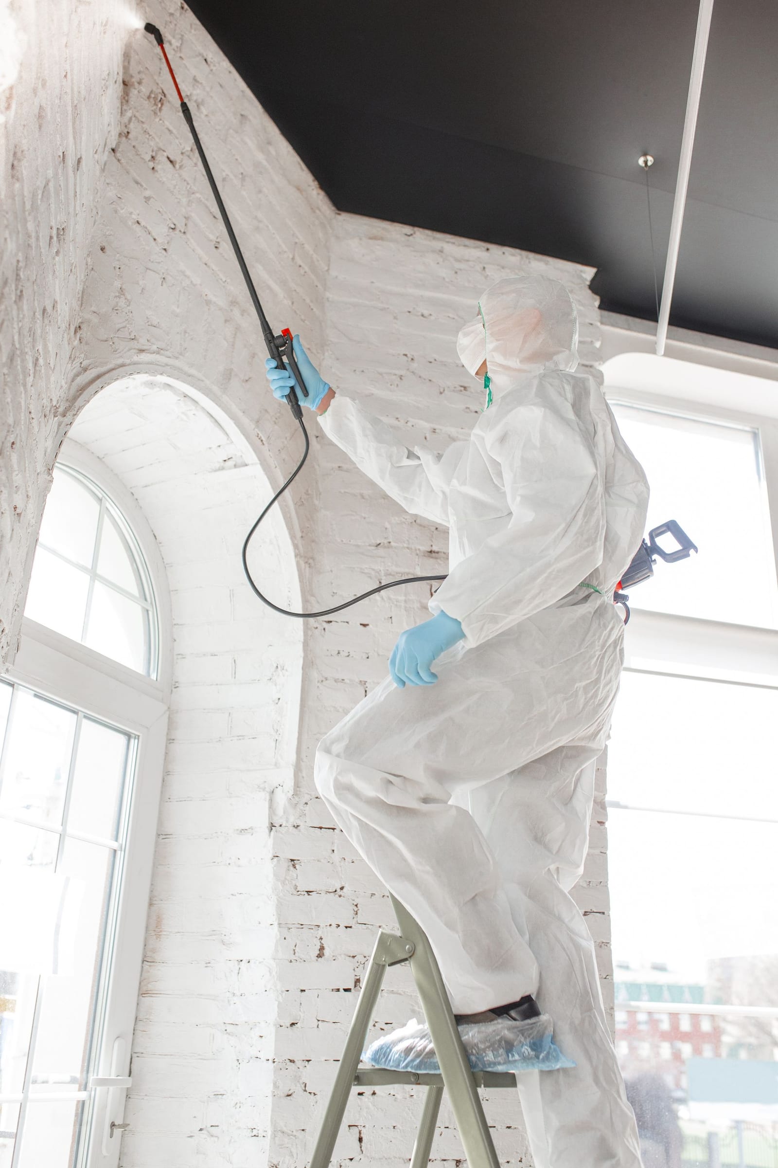 Commercial mold removal in solon OH