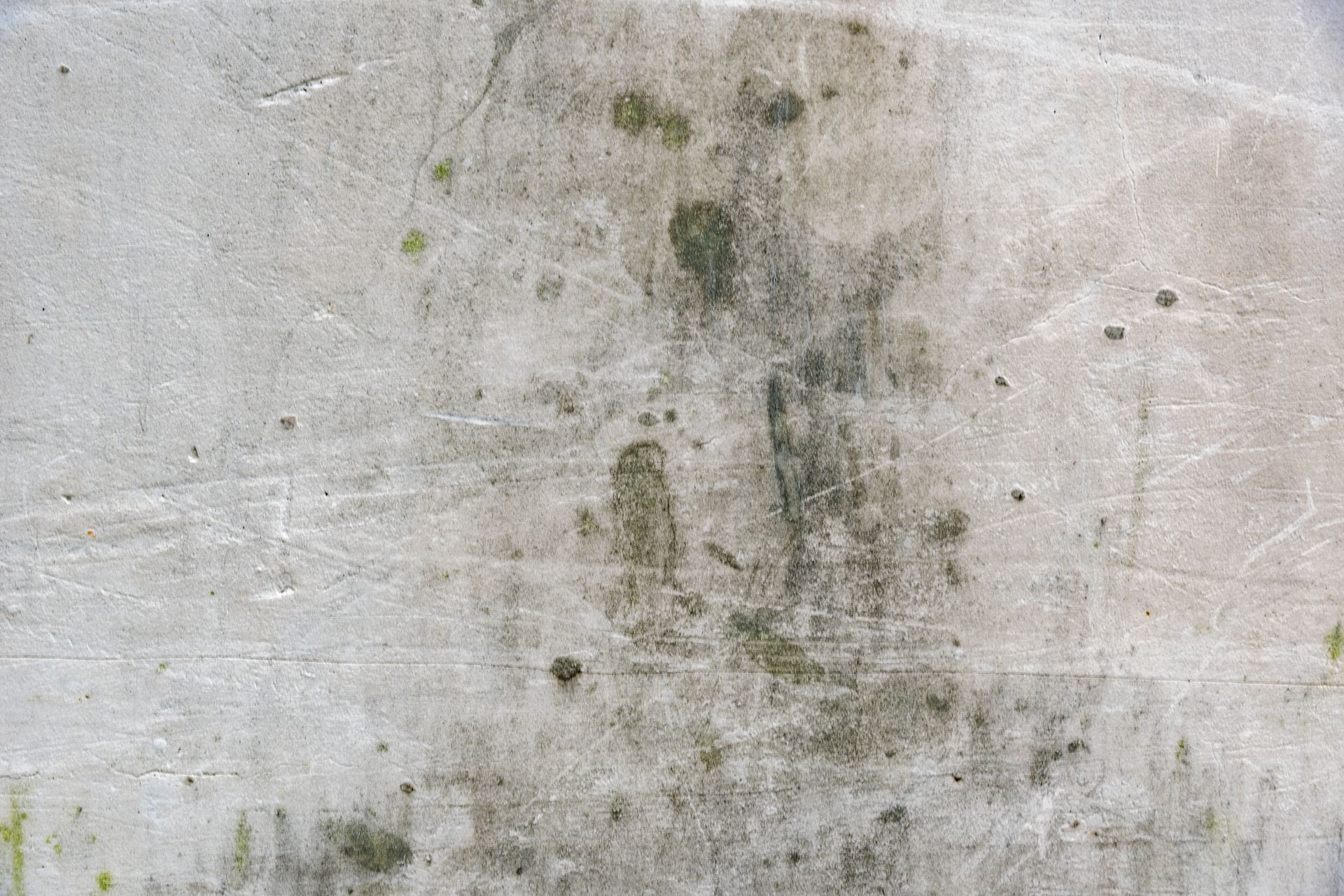 Commercial mold removal services in solon OH