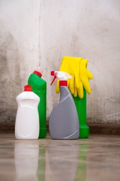 mold testing service in solon, OH