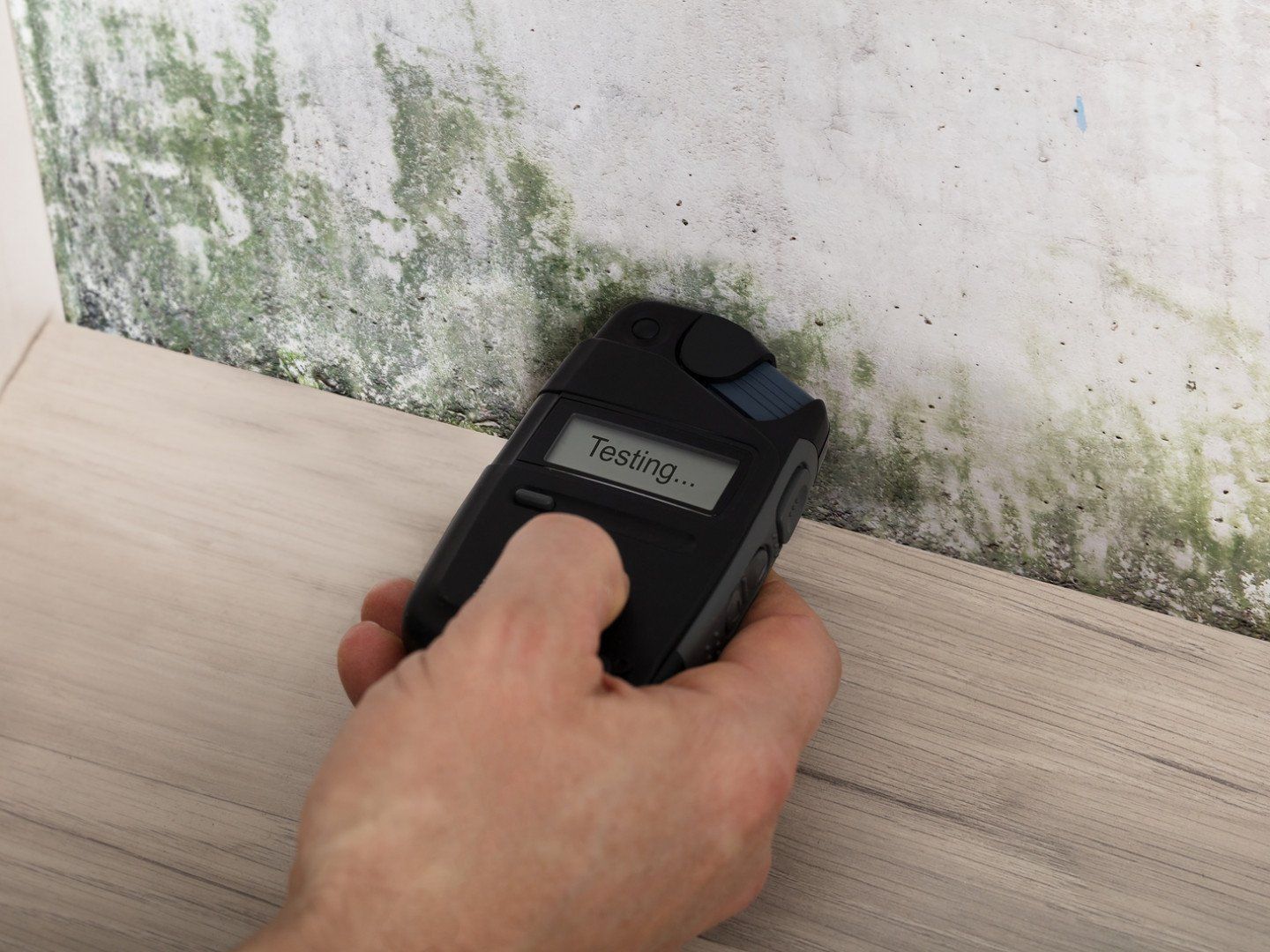 Mold Inspection — Hathaway Environmental in Solon, OH